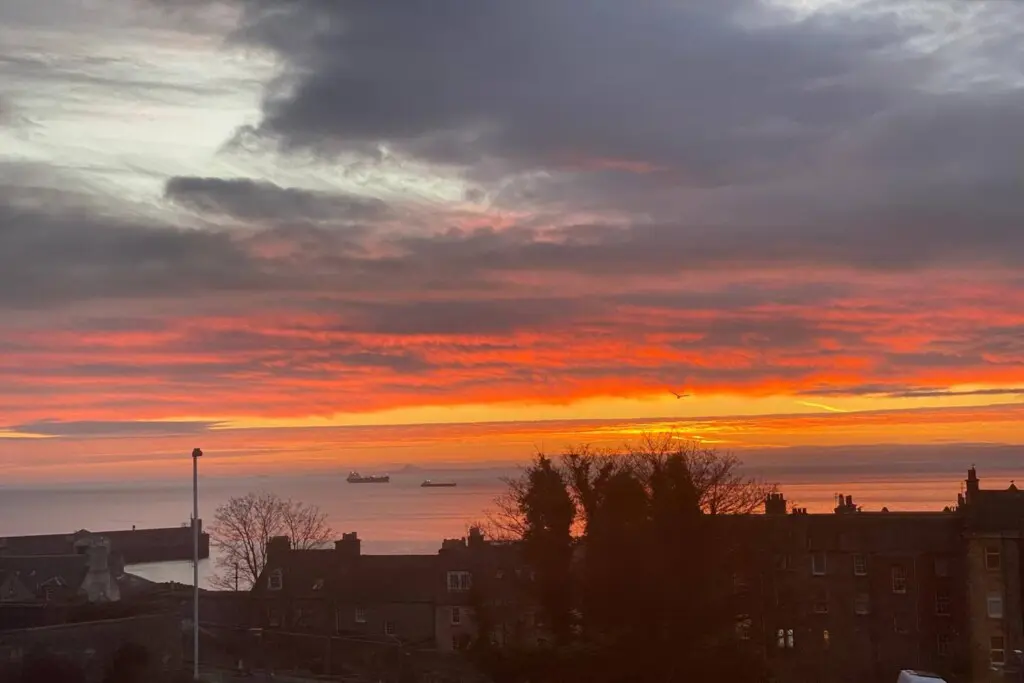 14e61b6e 354a 42ce a141 1165fb3b14c5.jpg