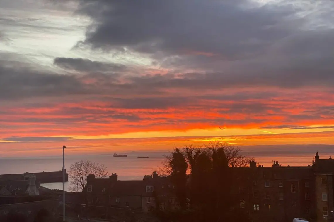 14e61b6e 354a 42ce a141 1165fb3b14c5.jpg