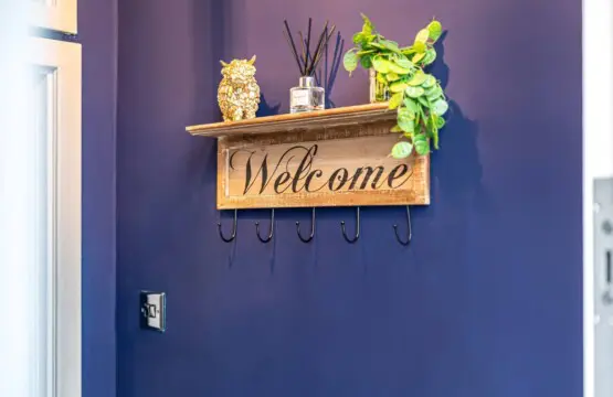 3140919a f589 4ea4 be4a 1ed86c202ea9.jpg