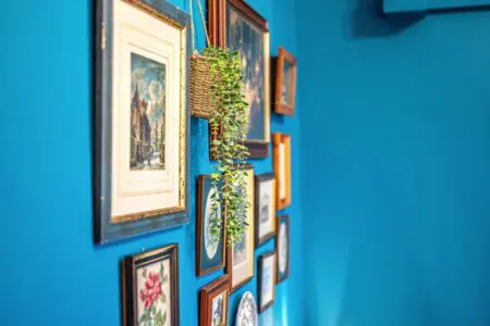 747cc931 cc4a 40f9 acee 995479ea301b.jpg