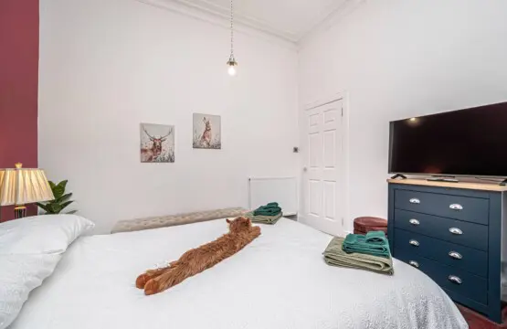 b850a9a0 c21b 4975 bee3 26c9cbfe3cf0.jpg