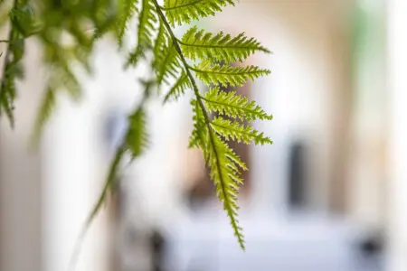 364e21e6 1232 4d67 b50a 7e1fd7579d35.jpg