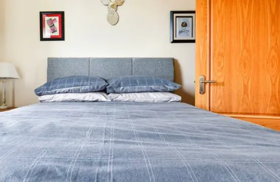 3b3fa2f5 2c99 4383 97e2 08e9dbfab00a.jpg