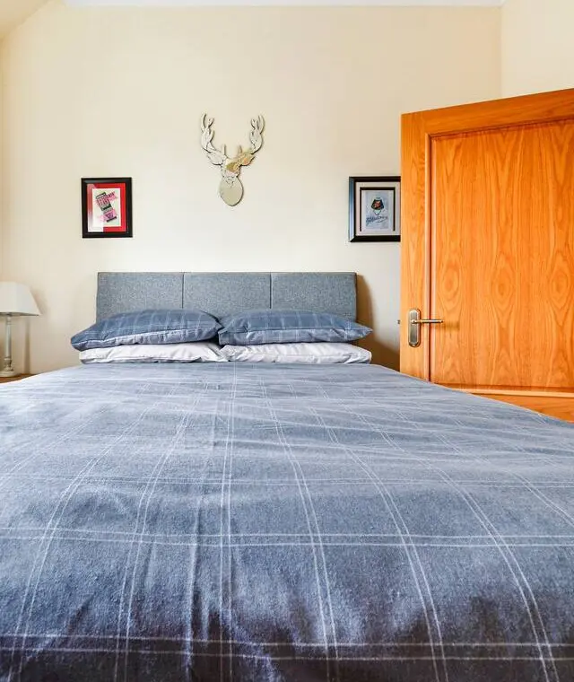 3b3fa2f5 2c99 4383 97e2 08e9dbfab00a.jpg