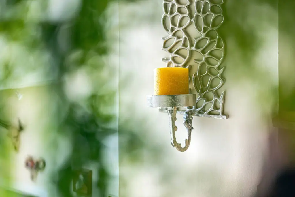 5736eef5 cdb2 40b5 ba21 e25ebcc889ad.jpg