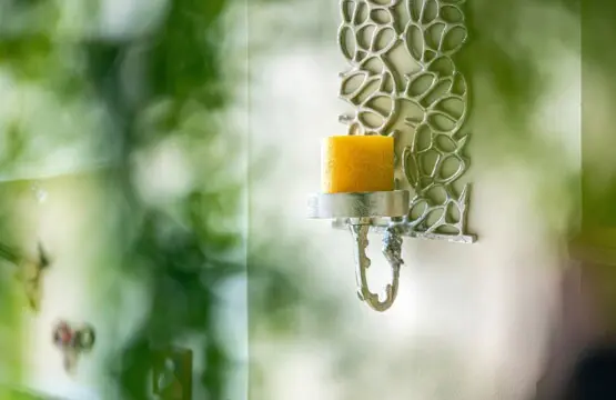 5736eef5 cdb2 40b5 ba21 e25ebcc889ad.jpg