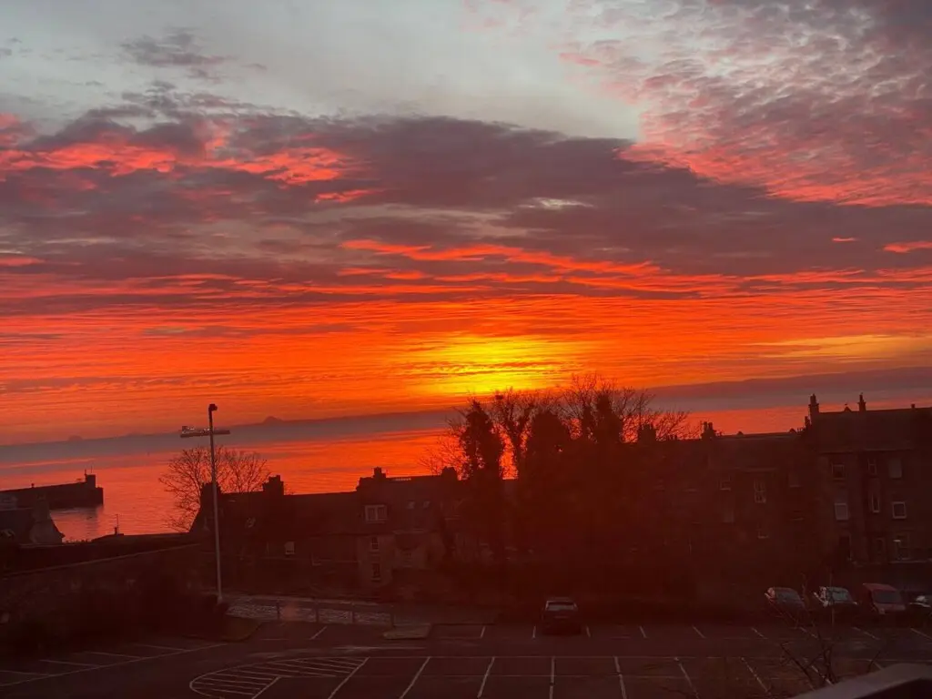 57677136 6199 4543 b51e d01404269136.jpg