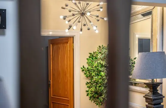 5dacdf77 17c4 4ce1 a71b 10bb41af71bc.jpg