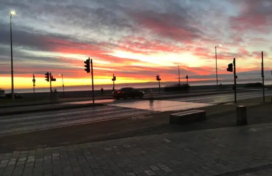 7b226011 b928 4756 bdff 954f890aa5c3.jpg