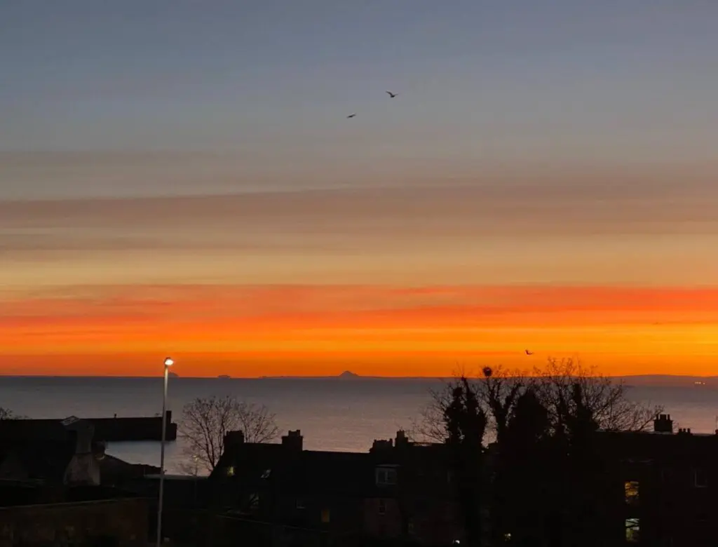 7e8b710f 796c 432a 95c0 33ee92481c79.jpg