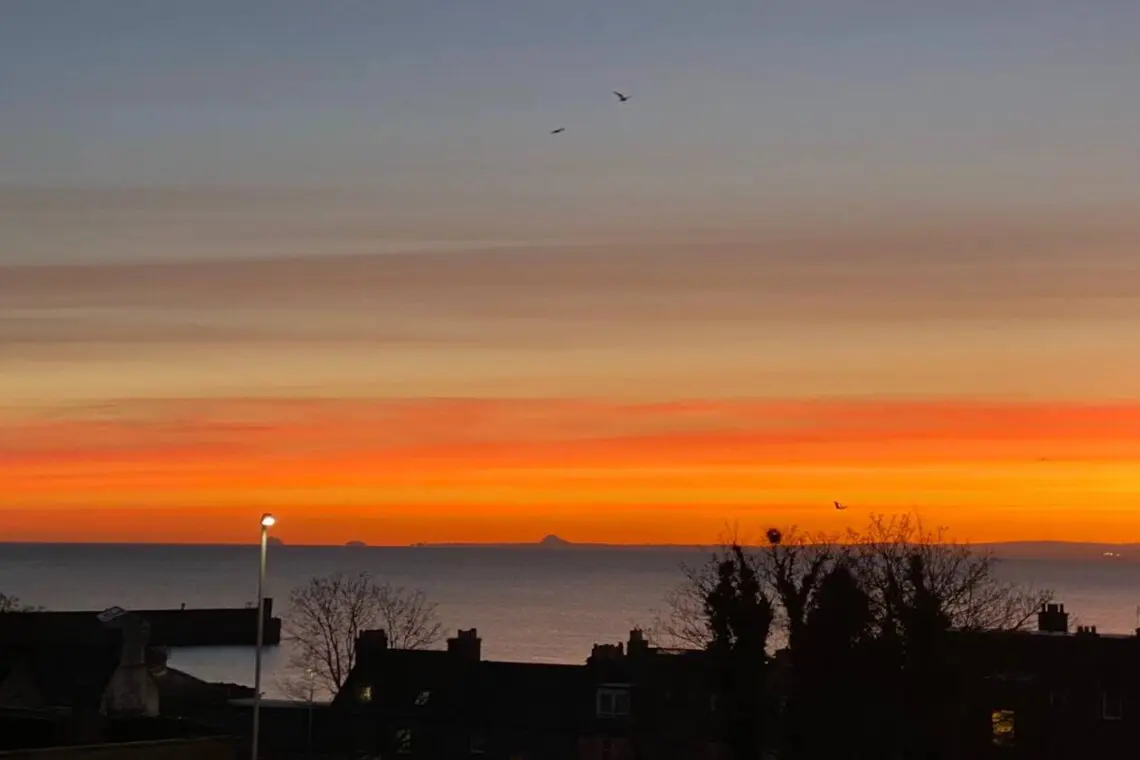 7e8b710f 796c 432a 95c0 33ee92481c79.jpg