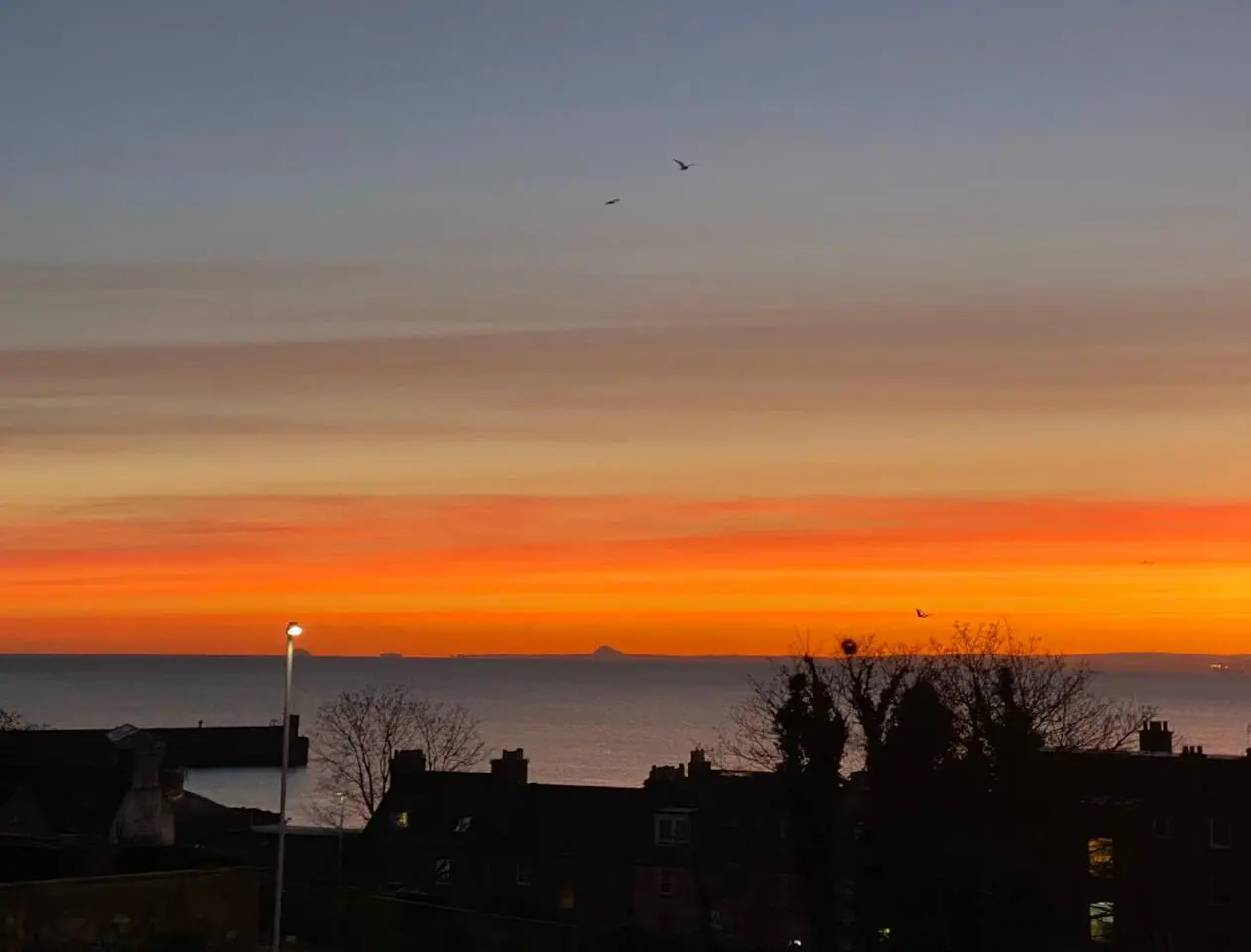 7e8b710f 796c 432a 95c0 33ee92481c79.jpg