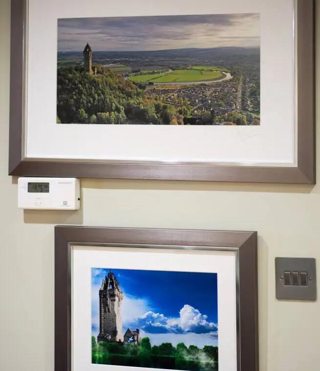 805c7eba 87dd 47dd 85d2 a8bfad0b1901.jpg