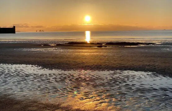 cb197945 6979 45fe bee8 99e9e3f8c4ff.jpg