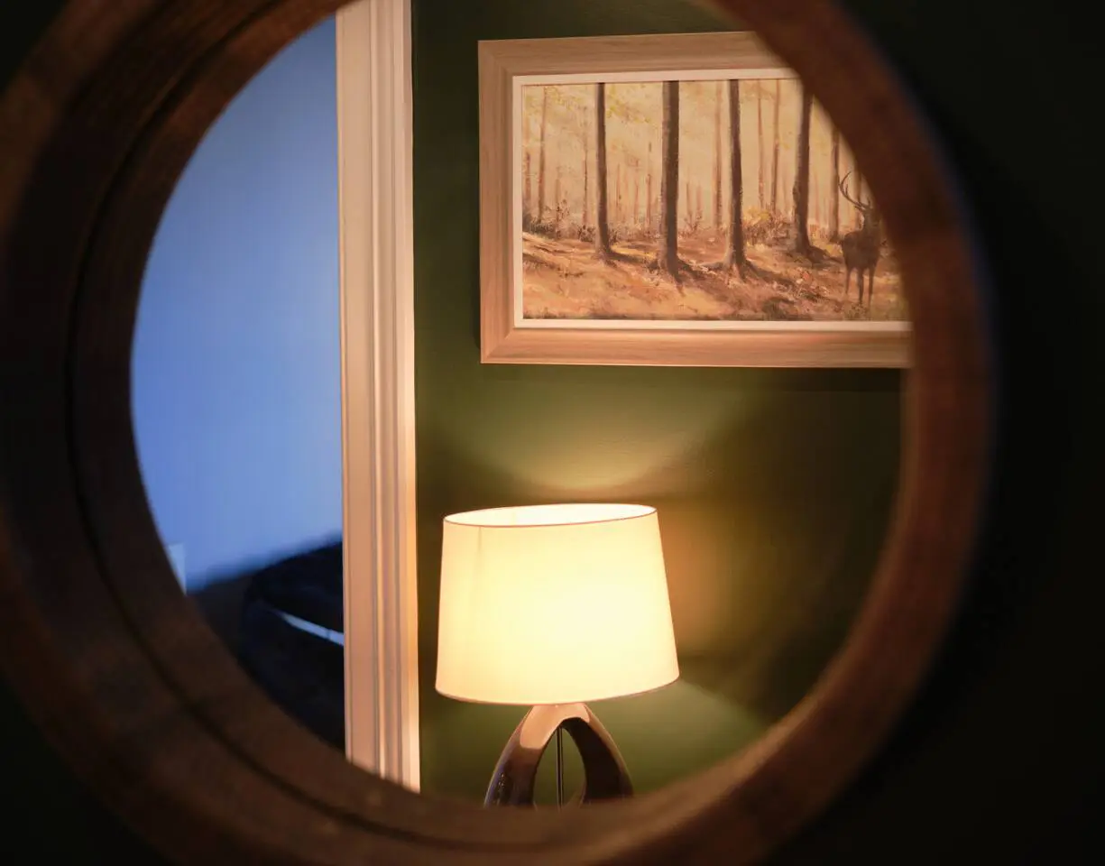 ddc93f0e 865e 4197 a9e3 314618b46d9c.jpg