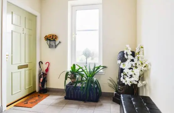 ee42c97a 44b0 474f 8fd5 4ec7e904b54e.jpg