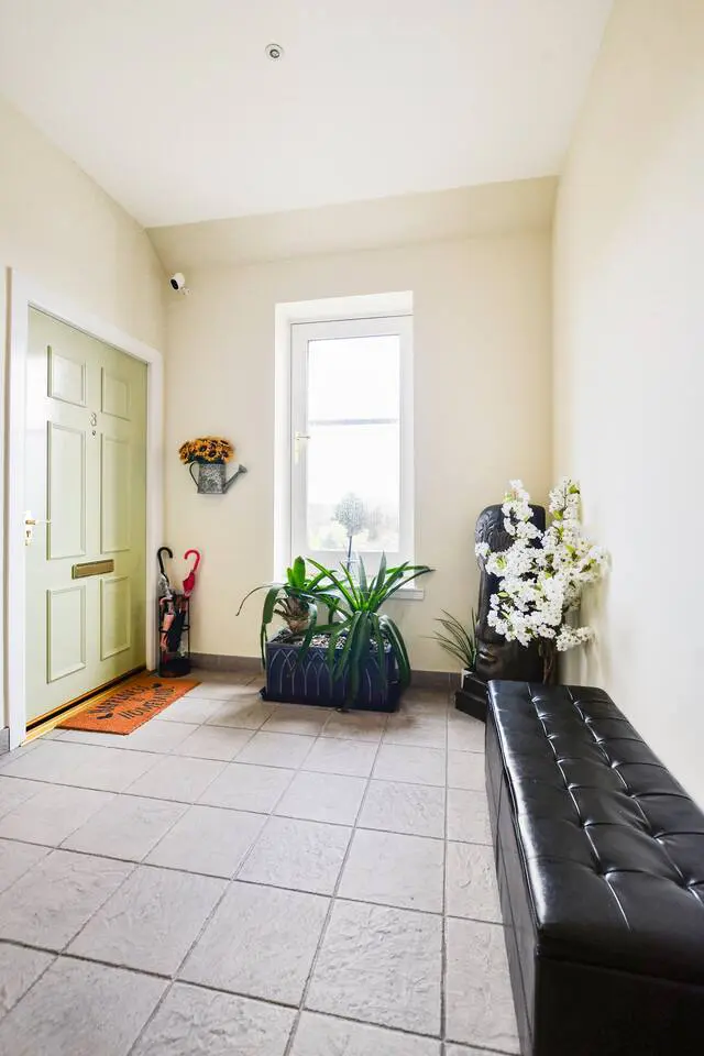 ee42c97a 44b0 474f 8fd5 4ec7e904b54e.jpg