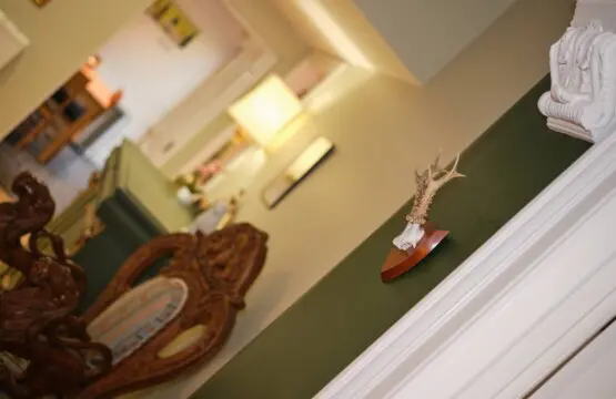 ff722e2f e9ca 4ef8 961a 784caab10601.jpg